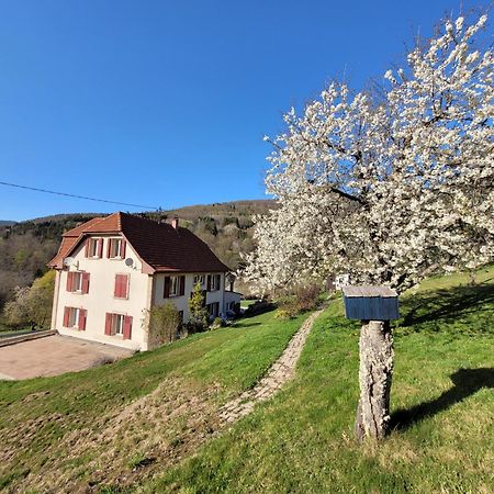 Вилла Domaine De La Charriere Sur 63 Ares - 8 Pers Grand Confort Neuviller Экстерьер фото