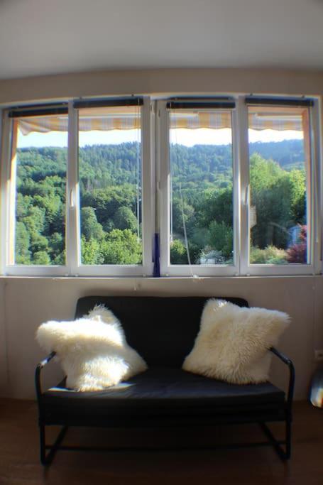 Вилла Domaine De La Charriere Sur 63 Ares - 8 Pers Grand Confort Neuviller Экстерьер фото
