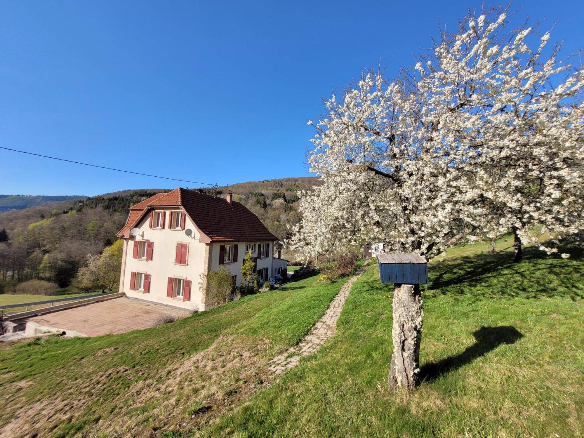 Вилла Domaine De La Charriere Sur 63 Ares - 8 Pers Grand Confort Neuviller Экстерьер фото